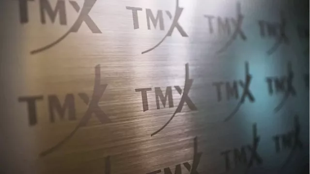 Small-cap companies not ready for climate disclosure rules: TMX Group CEO