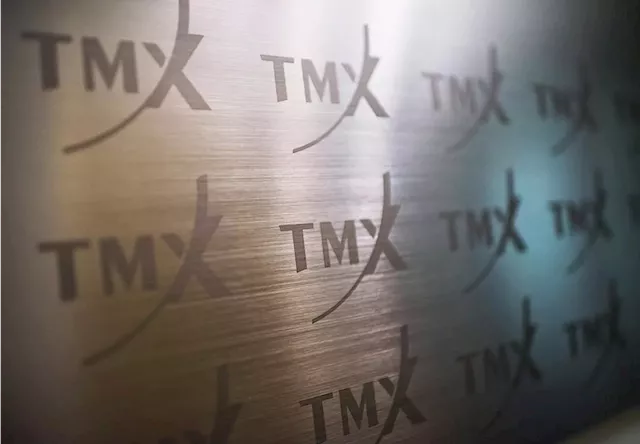 Small-cap companies not ready for climate disclosure rules: TMX Group CEO