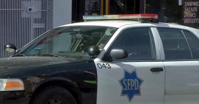 6 arrested for retail theft from San Francisco Ingleside business