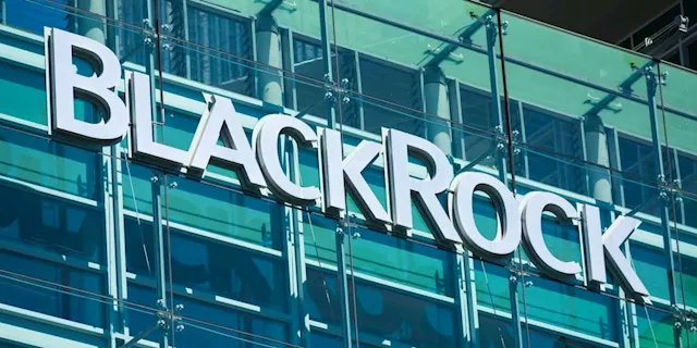 BlackRock Stock Falls After Earnings Beat Expectations