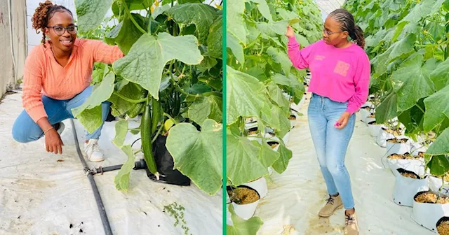 KZN Chemical Engineering Graduate Grinds With Farm and Employs 10 People Permanently With Business