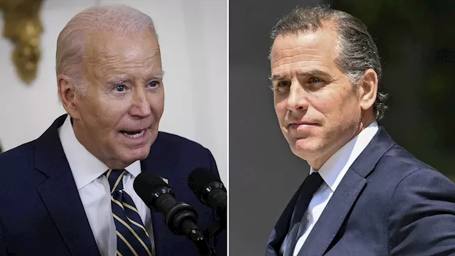 Most Americans believe Biden acted ‘illegally or unethically’ in Hunter business dealings: poll