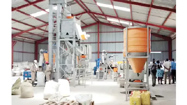 Establishing Agric Produce Grinding Business For Profit