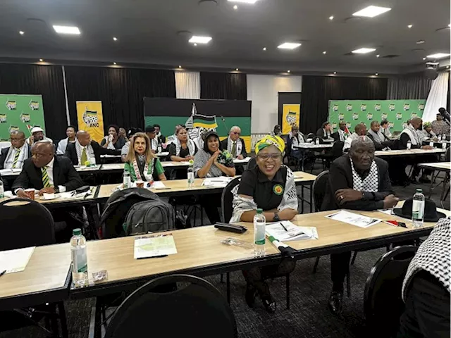 ANC renewal high on NEC's agenda - SABC News - Breaking news, special reports, world, business, sport