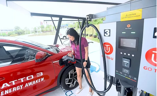 Groups: More initiatives needed to drive up EV industry