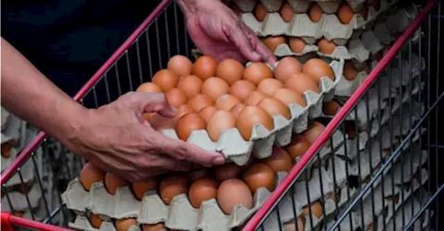 Proposal to lift price controls on chicken, eggs to allow market to move freely