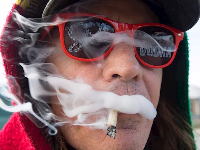 Desperate pot industry players worry they won't survive wait as Ottawa reviews Cannabis Act