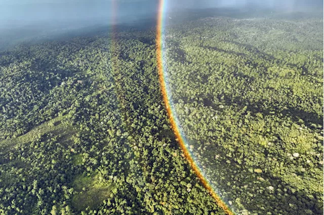 Indonesia opens carbon trading market to both skepticism and hope