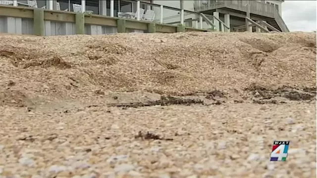 St. Johns County reaches $3.7M settlement with company in charge of beach restoration project