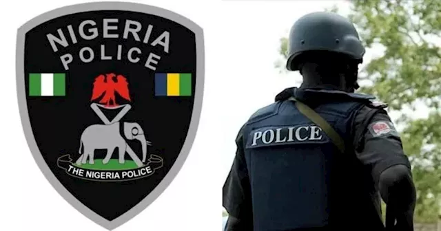 Lagos: Police commence trial of officer caught firing shots in Ladipo Market