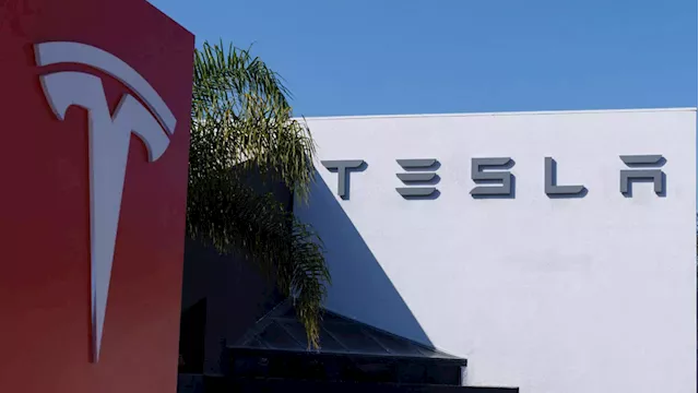 Tesla earnings: Musk cautious on Mexico factory, economy