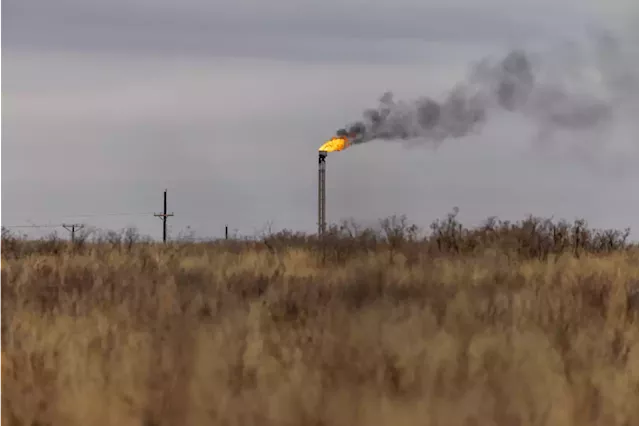 Oil Industry to Act on Methane and Flaring, COP28 Chief Says