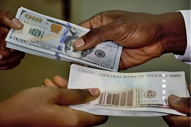 Nigeria’s dollar woes leave record N452 billion forex loss across big consumer goods companies