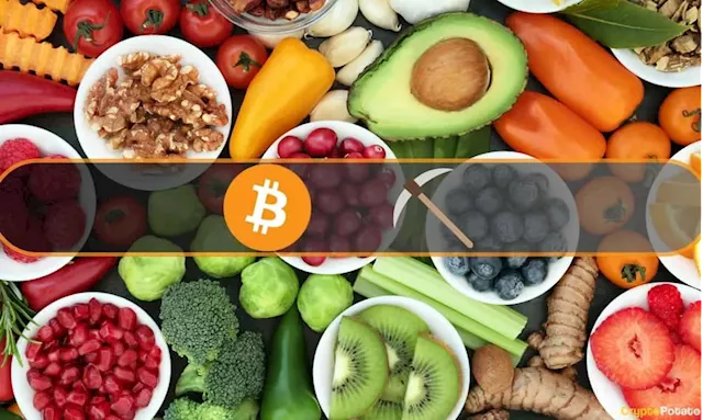 This Swiss Company Wants to Use Excess Energy From Food Production to Mine Bitcoin