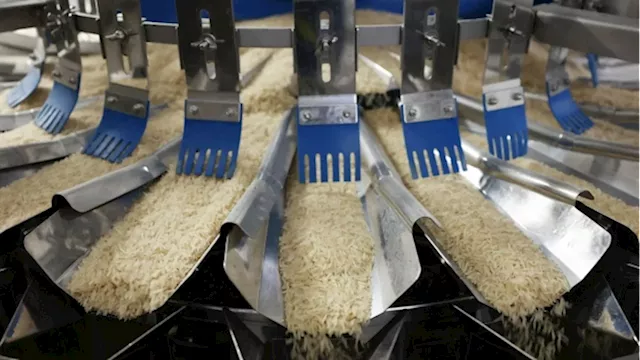 British Rice Industry Fears India Pact Will Kill Off Local Mills