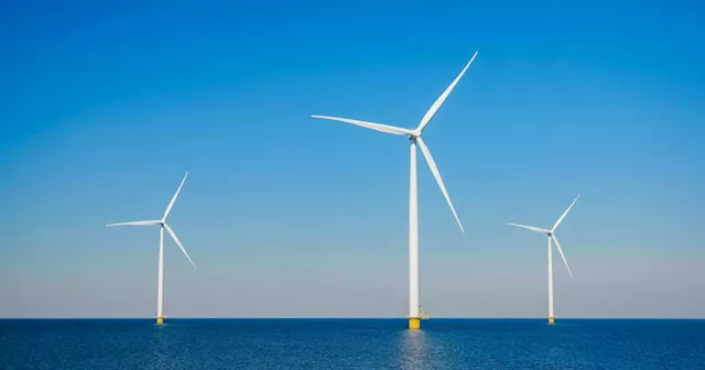 Seafood industry calls for ‘proper’ assessment and planning in offshore wind energy