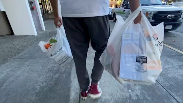 Can heavy-duty plastic bags really be reused as many times as industry says? ABC7 puts them to test