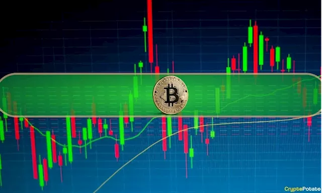 Crypto Markets Added $100B Weekly as BTC Reclaims $30K (Market Watch)