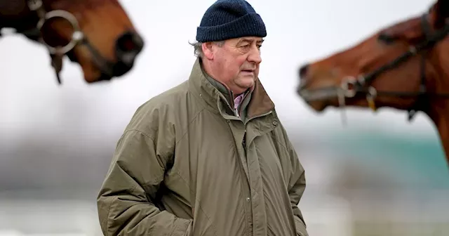 Top Irish horse trainer on a winner as his company reports profits of €2.5m