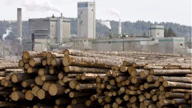 West Fraser Timber third-quarter earnings, sales lower compared with last year