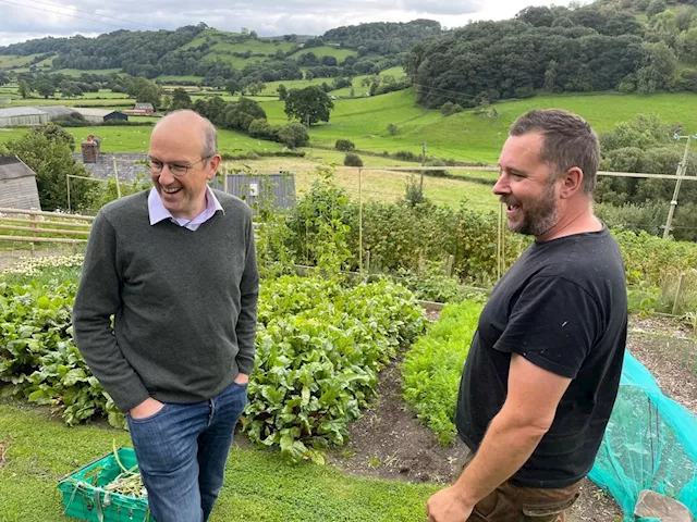 High praise for ‘fantastic’ Llanfyllin market garden proving hit with customers