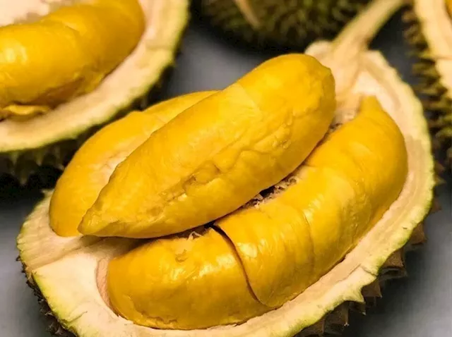 Vietnam's much highly touted durian becomes country's biggest earner in fruits and vegetable export industry