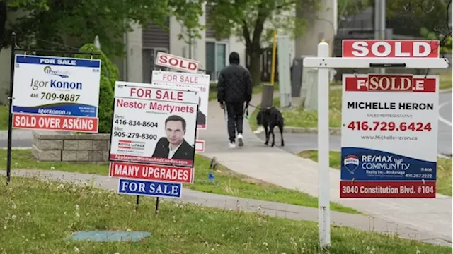 Rates hikes weighed on real estate market that was 'already down': TD