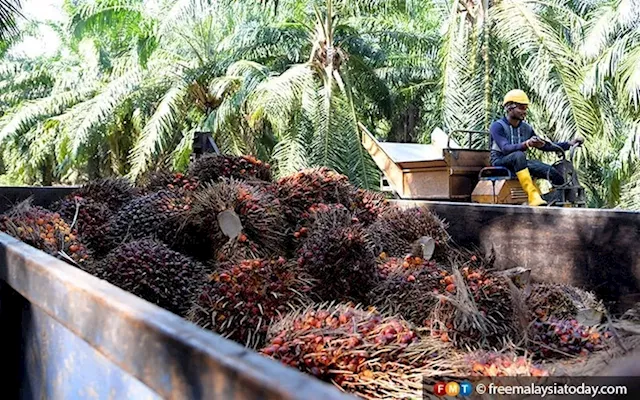 No intention to abolish palm oil industry’s windfall profit levy