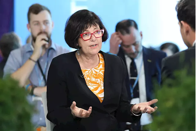 Climate finance still a vital issue at COP28, Creecy says