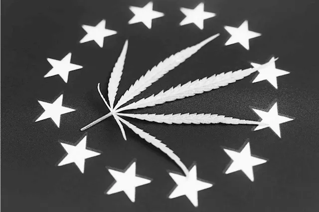 What Investors Should Look For in a Changing EU Cannabis Market