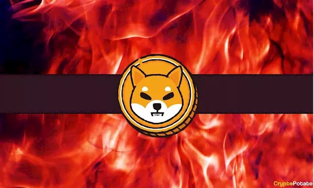 Massive 7000% Jump in This Shiba Inu (SHIB) Metric: Bull Market Incoming?