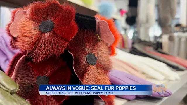 Local Company Supports Veterans with New Poppy Tradition