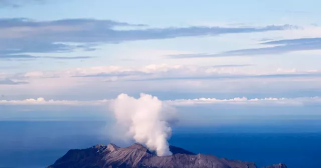 Company that managed NZ White Island volcano, where 22 died in eruption, guilty of safety breaches, judge