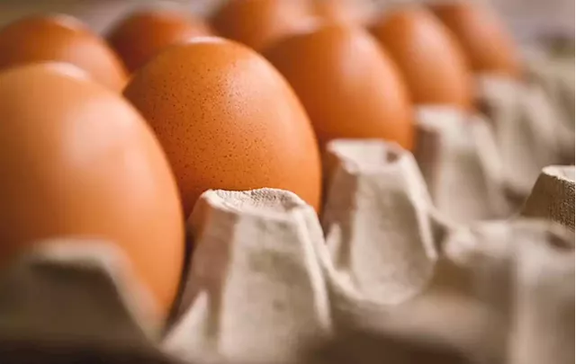 Govt may have to resort to importing eggs in the interim: Didiza - SABC News - Breaking news, special reports, world, business, sport coverage of all South African current events. Africa's news leader.