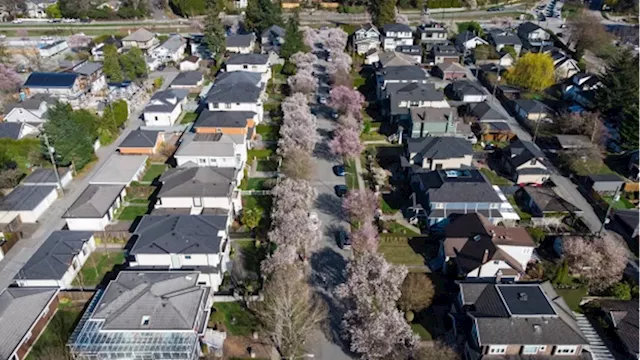 Vancouver housing market more balanced after spring and summer slowdown: board - BNN Bloomberg