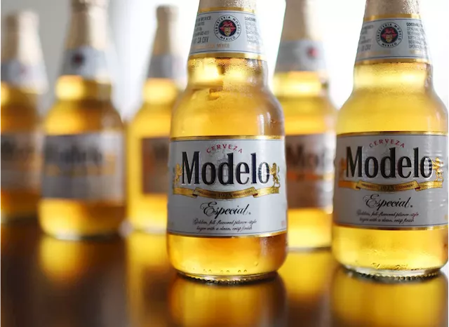 Constellation Brands beats on earnings as Modelo-fueled beer momentum continues