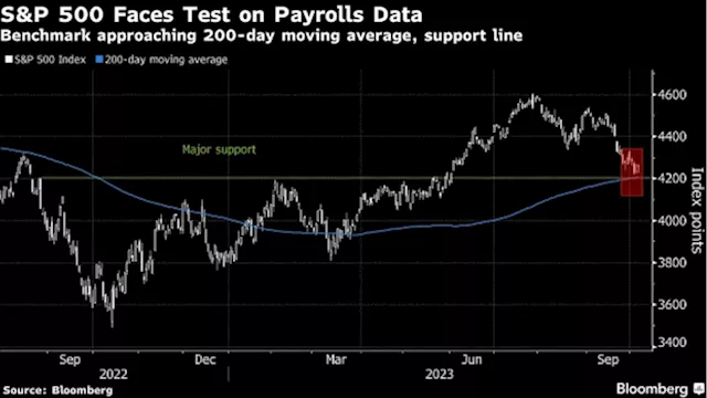 Asia Stocks Set for Muted Open Before US Jobs Data: Markets Wrap - BNN Bloomberg