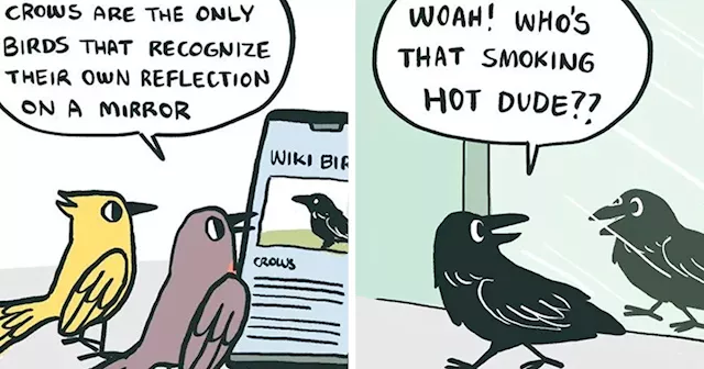 80 Funny Comics About A Cat Hiring Birds In His Company By This Brazilian Artist