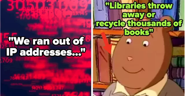 31 Little-Known Industry Facts That Genuinely Amazed Me