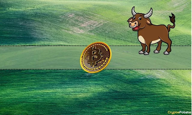 We Asked ChatGPT if There Will Be a Bitcoin Bull Market in 2024