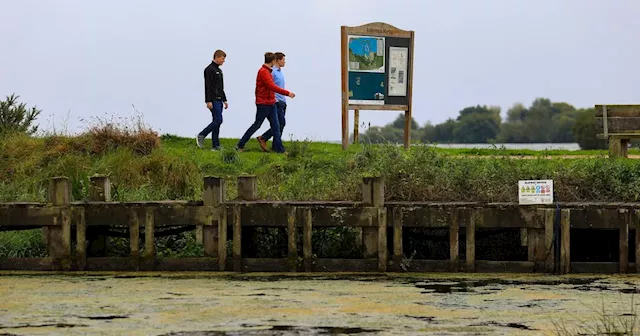 We are sacrificing Ireland’s countryside to business and agricultural interests