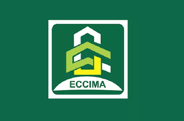 Nigeria remains huge investment destination - Ex-ECCIMA president | The Nation Newspaper