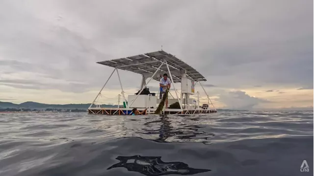 Deep-sea solution seeding hope for struggling but essential seaweed farming industry