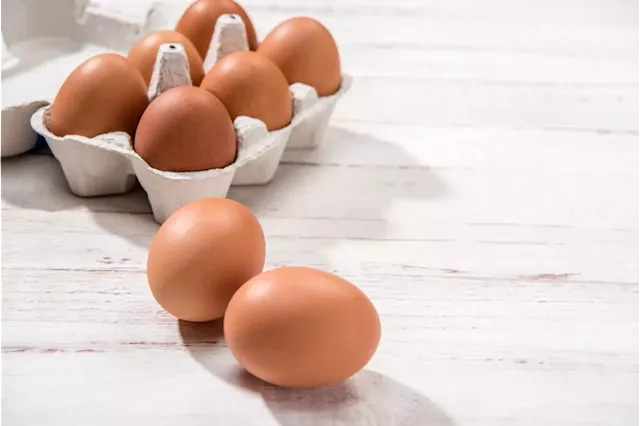 Egg industry estimates up to 18 months to recover