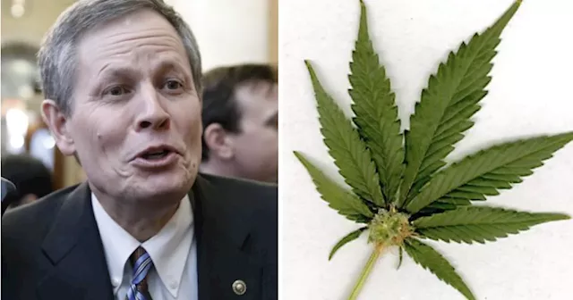 Republican Senator Supports Legislation Enabling Cannabis Industry