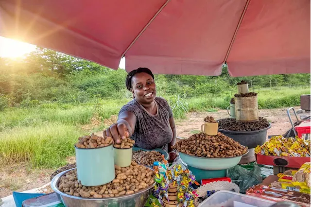 Comparing Business Account Offerings for Informal Traders