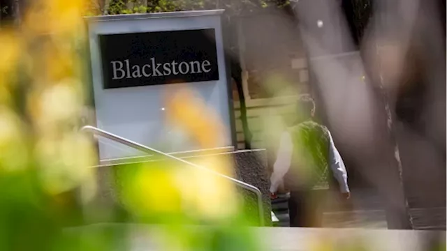 Blackstone-Backed Slaughterhouse Cleaner Sees Earnings Halved