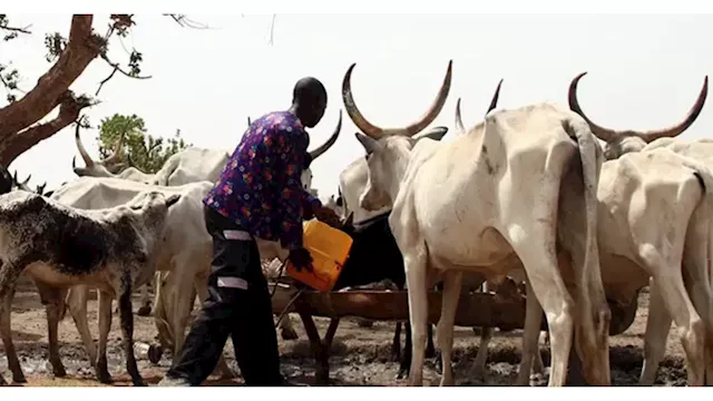 Cattle Market Crisis: Hausa Community Sues For Dialogue With Abia