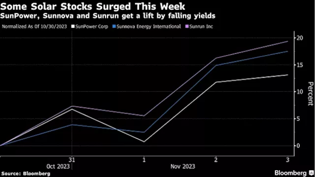 Solar Stocks Bounce Even as Earnings Disappointments Pile Up