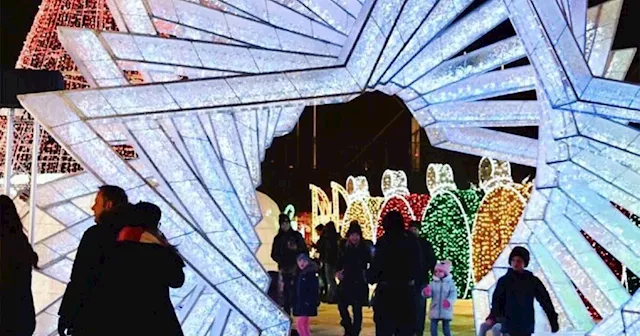 Dazzling lights festival with Christmas market opening near Toronto